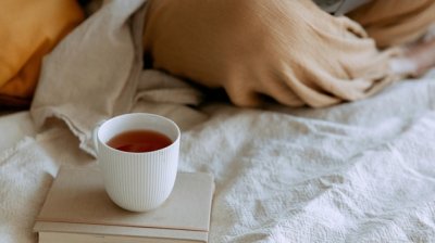 深刻了解塞舌尔公司年审：关键细节与操作流程解析